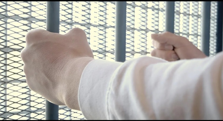 Image de Un œil sur l'UDV