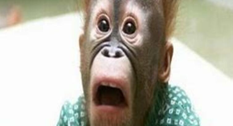 Image de Help Monteur 