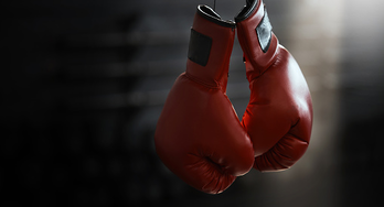 Image de Le Vrai Combat 