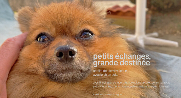 Image de Petits échanges, grande destinée