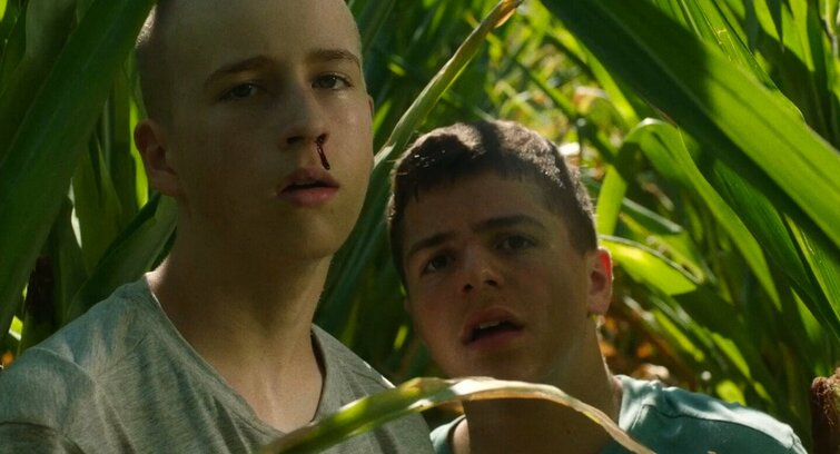 Image de Le Corps du roi