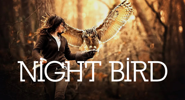 Image de Casting  acteur et technique : "Night Bird"