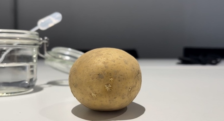 Image de F3M 2025 - La Découverte