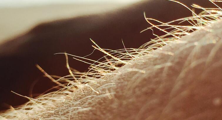 Image de Poils d’attraction — Nikon Film Festival 