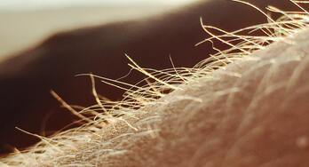 Image de Poils d’attraction — Nikon Film Festival 