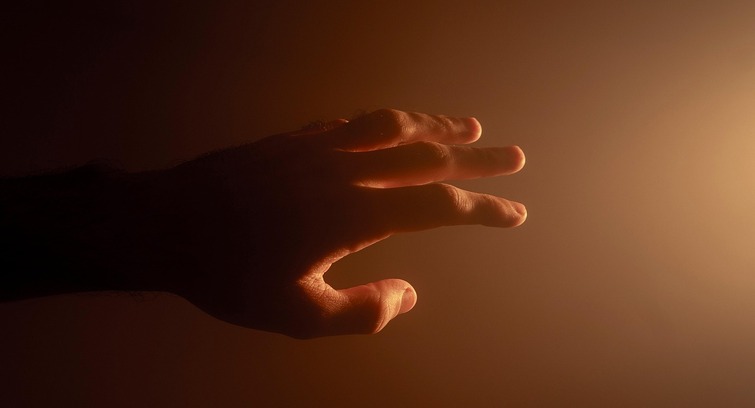 Image de Nikon 2026 - À portée de main