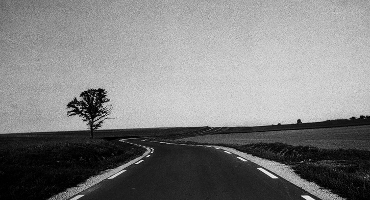 Image de La Libération Fantasmée des Contraintes