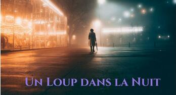 Image de Un Loup Dans La Nuit