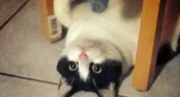 Image de [MV48H2026] Alpha Centauri Films