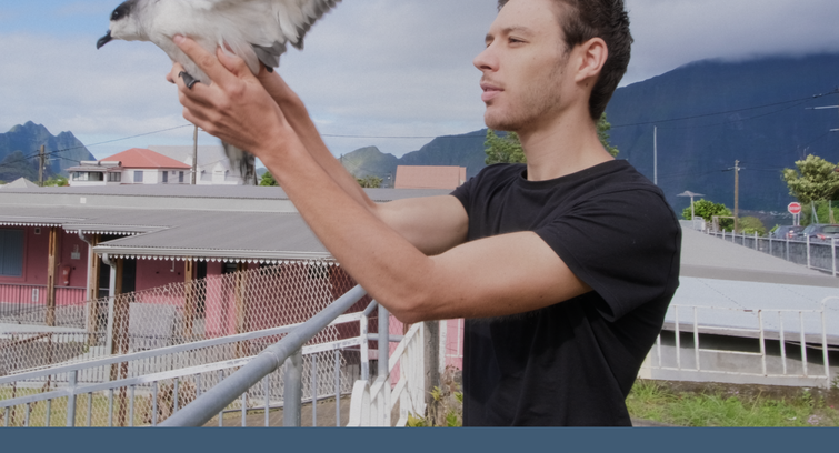 Image de Là où tombent les oiseaux