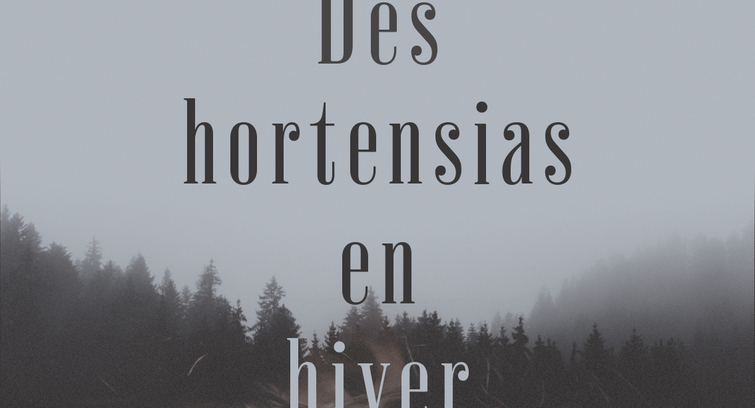 Image de Des Hortensias en Hiver