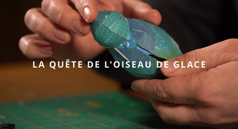 Image de La Quête De L'Oiseau De Glace