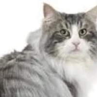 Avatar de Eric Deleplanque