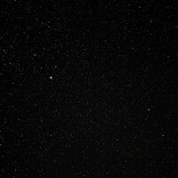 Avatar de Clara Esslinger