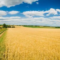 Avatar de Indonesiaescortspage Indonesiaescortspage