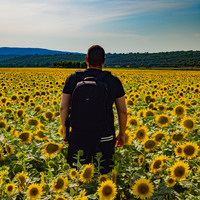 Avatar de Raphaël Eyssautier